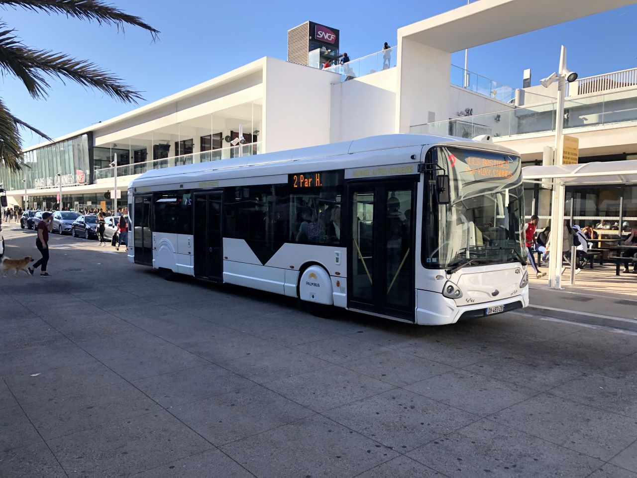 Palm Bus 426 blanc