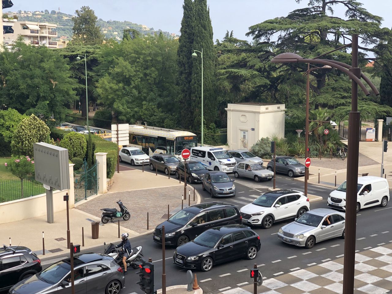 Palm Bus 1 square Carnot