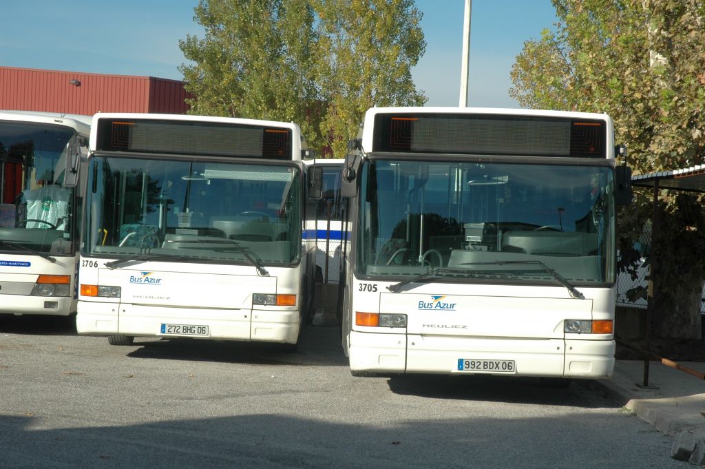Palm Bus 3705