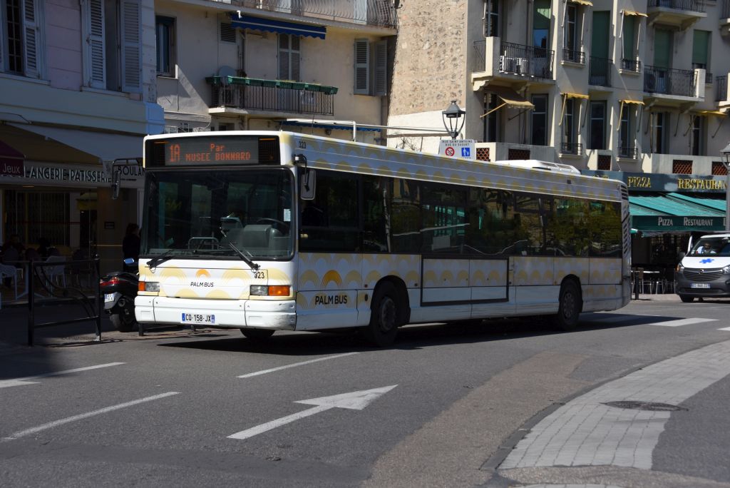 Palm Bus 323