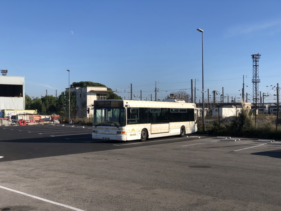 Palm Bus 326