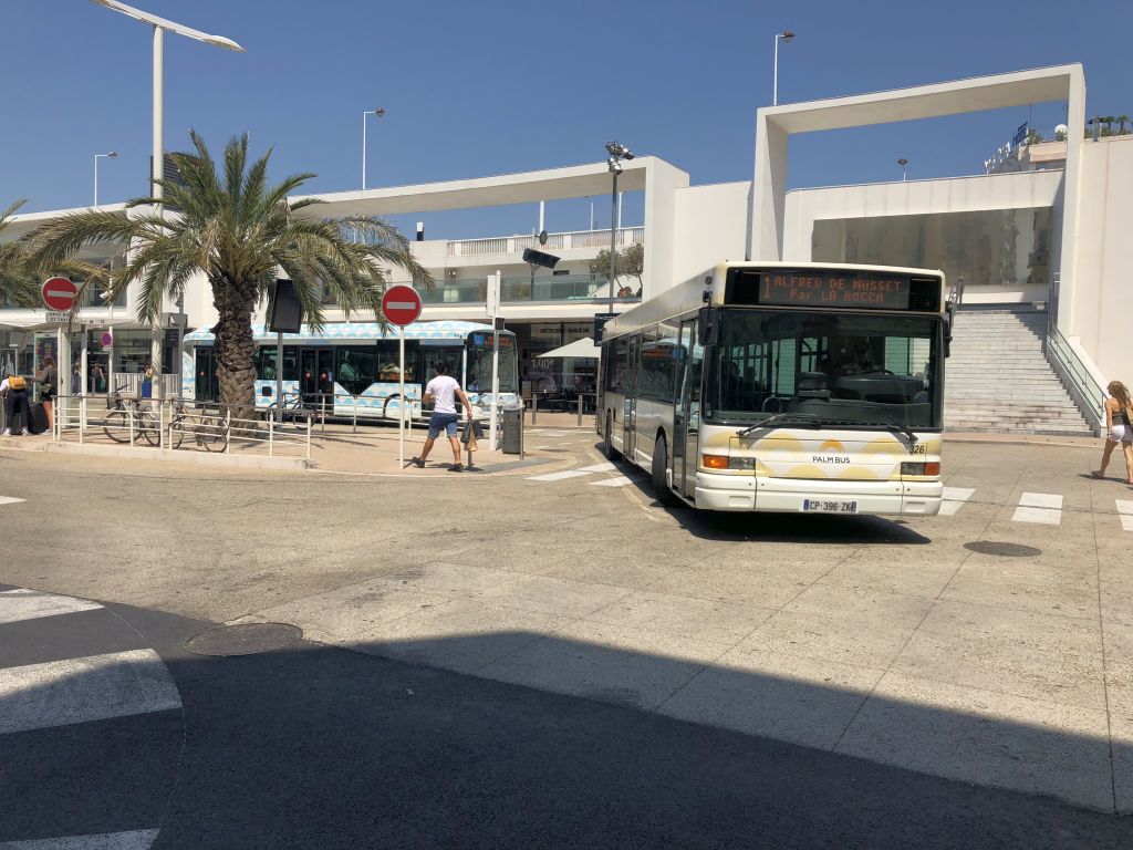 PAlm Bus 326