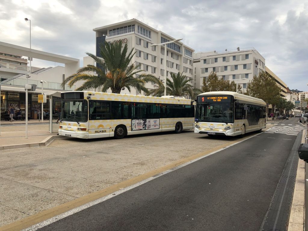 Palm Bus 361 et 329 Cannes
