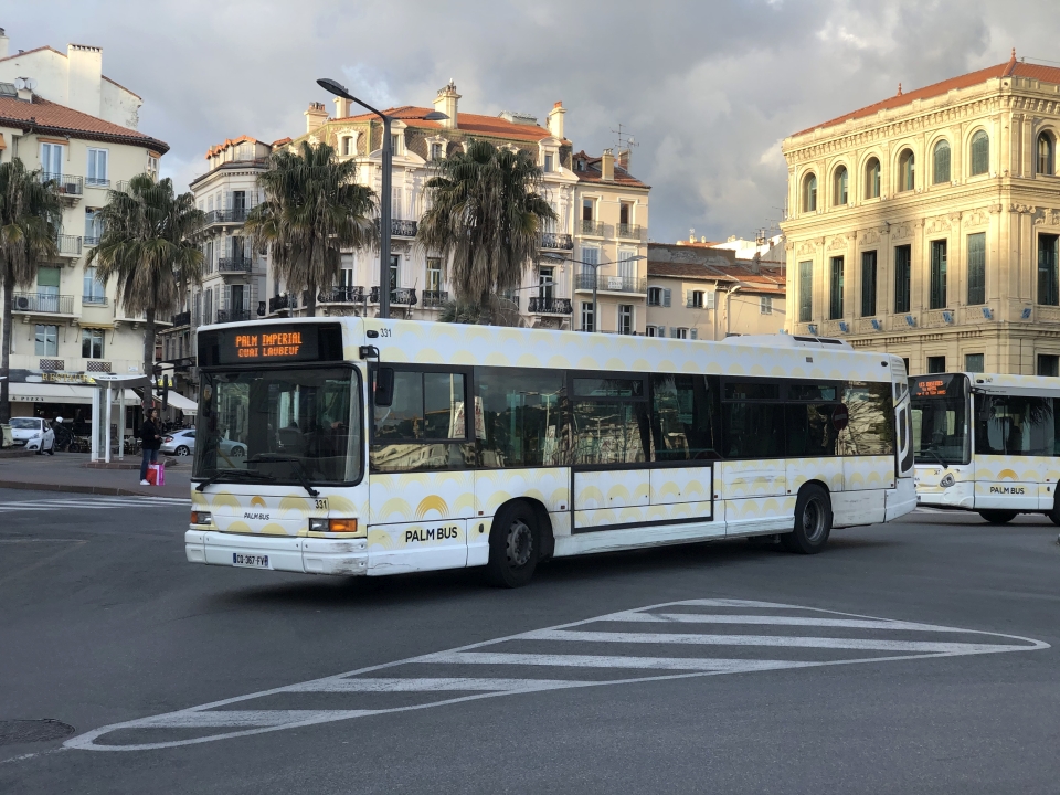 Palm Bus 331