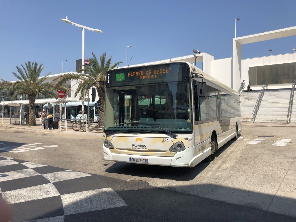 Palm Bus 334