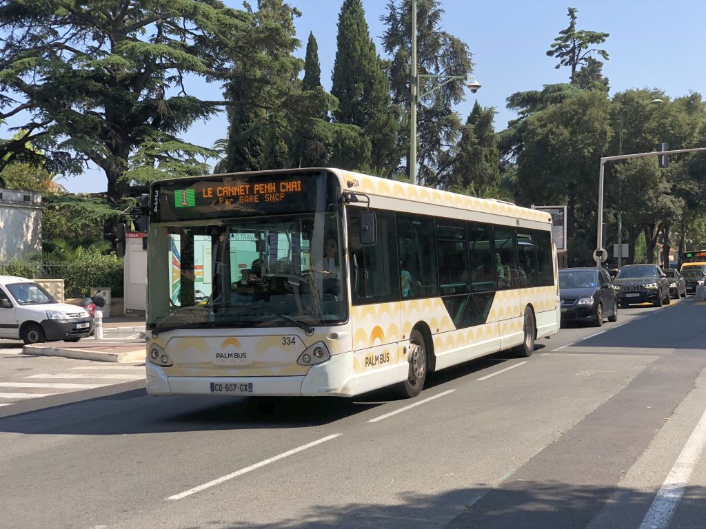 Palm Bus 334
