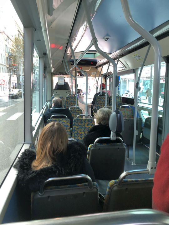 Palm Bus 345