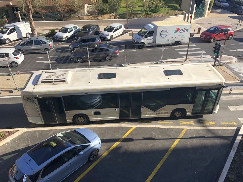 Palm Bus 345