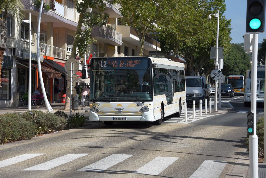 Palm Bus 346