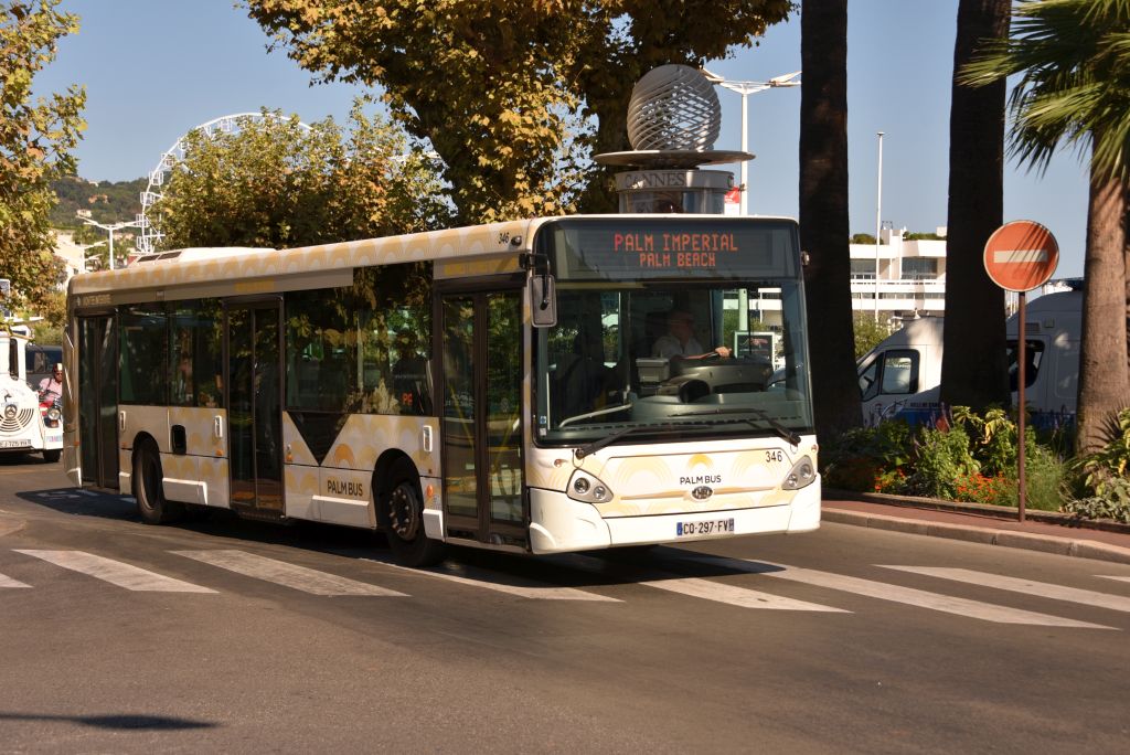 Palm Bus 346