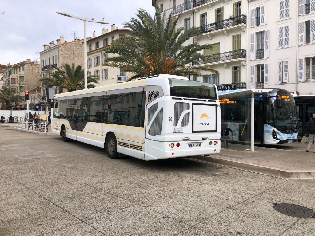 Palm Bus 349