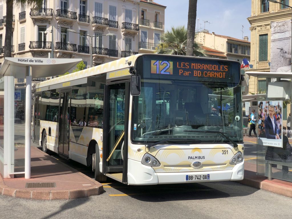 Palm Bus 351