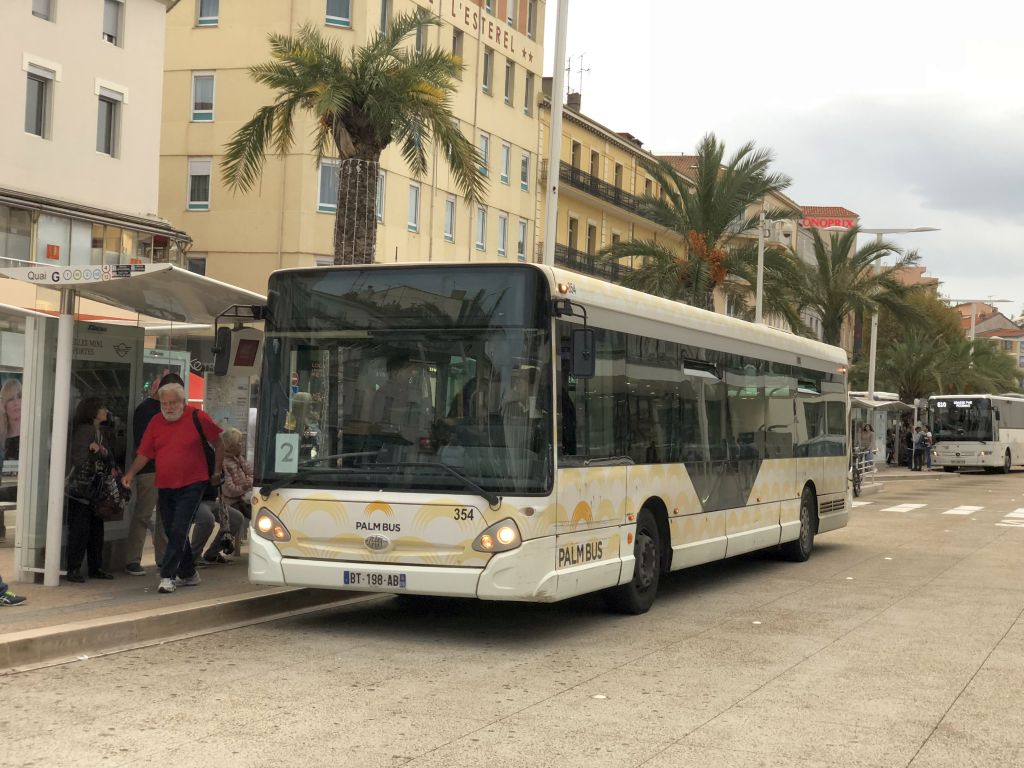 Palm Bus 354
