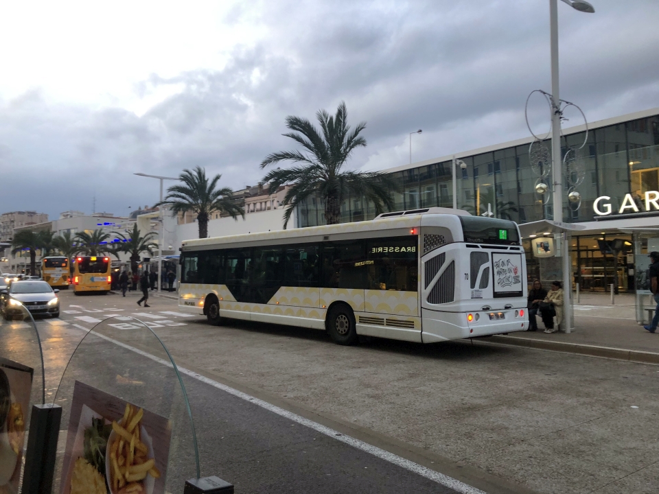 Palm Bus 354
