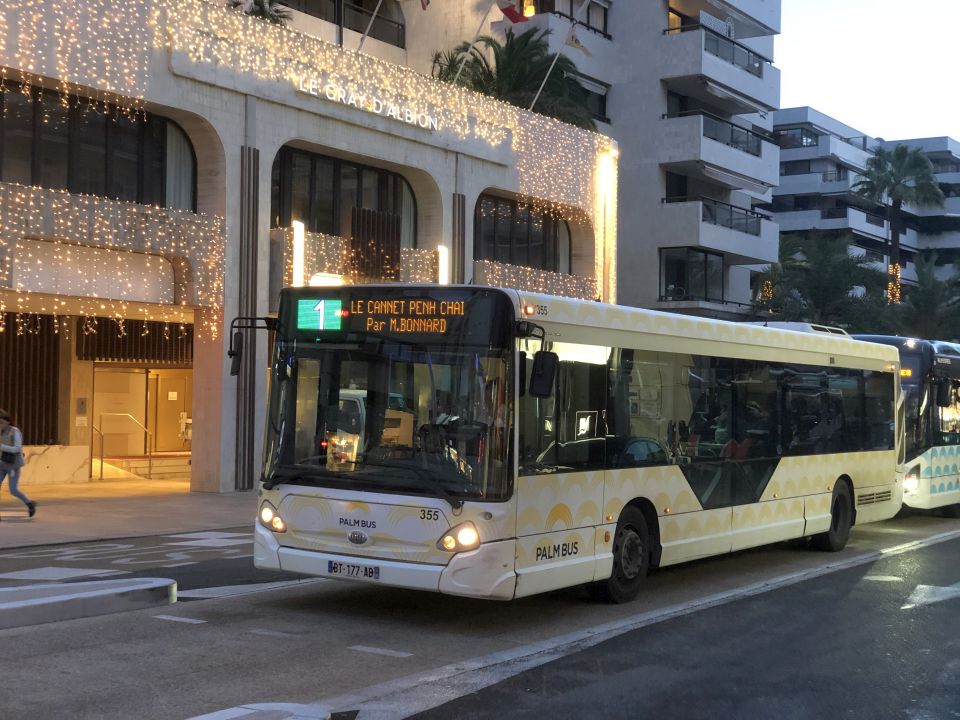 Palm Bus 355