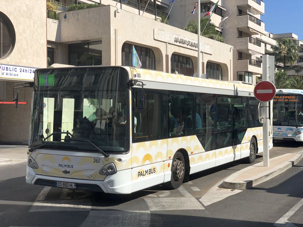 Palm Bus 360