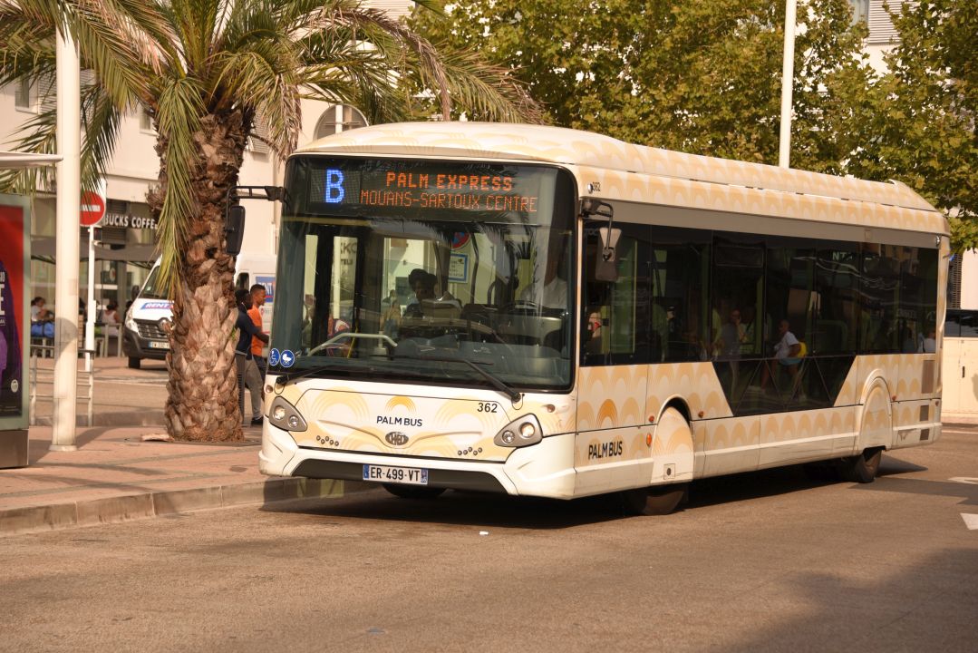 Palm Bus 362