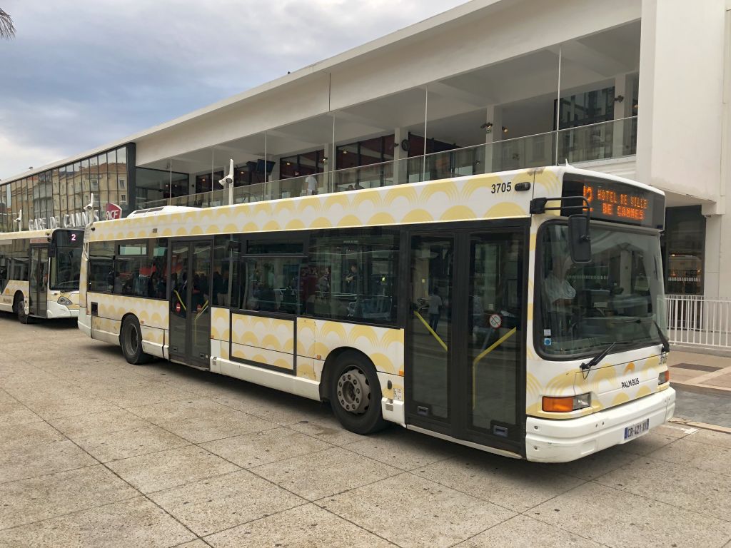 Palm Bus 3705