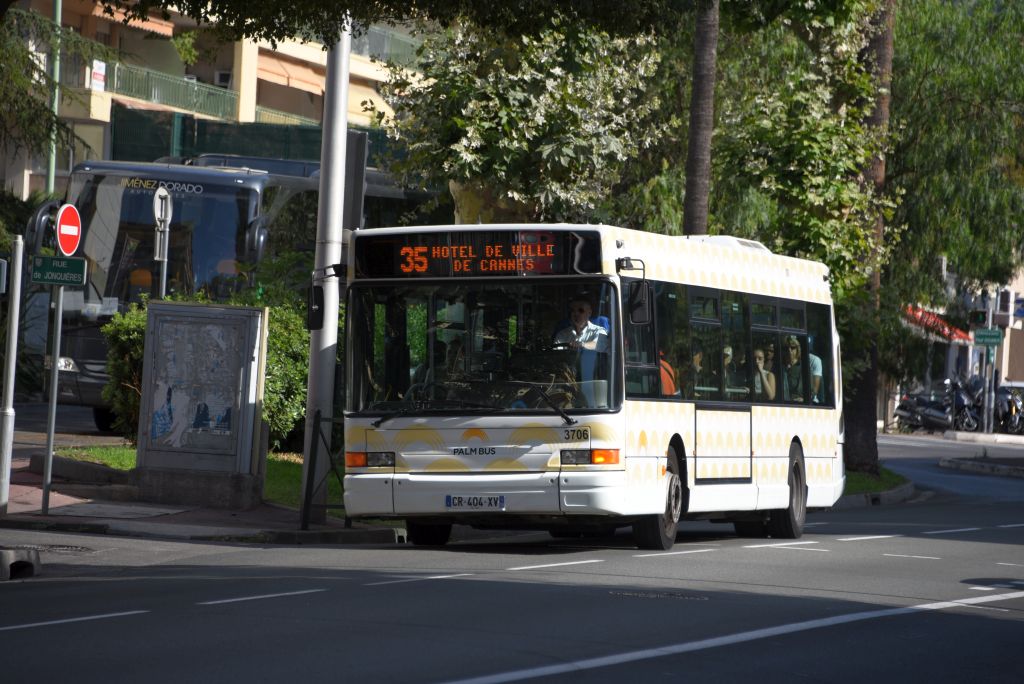 Palm Bus 3706