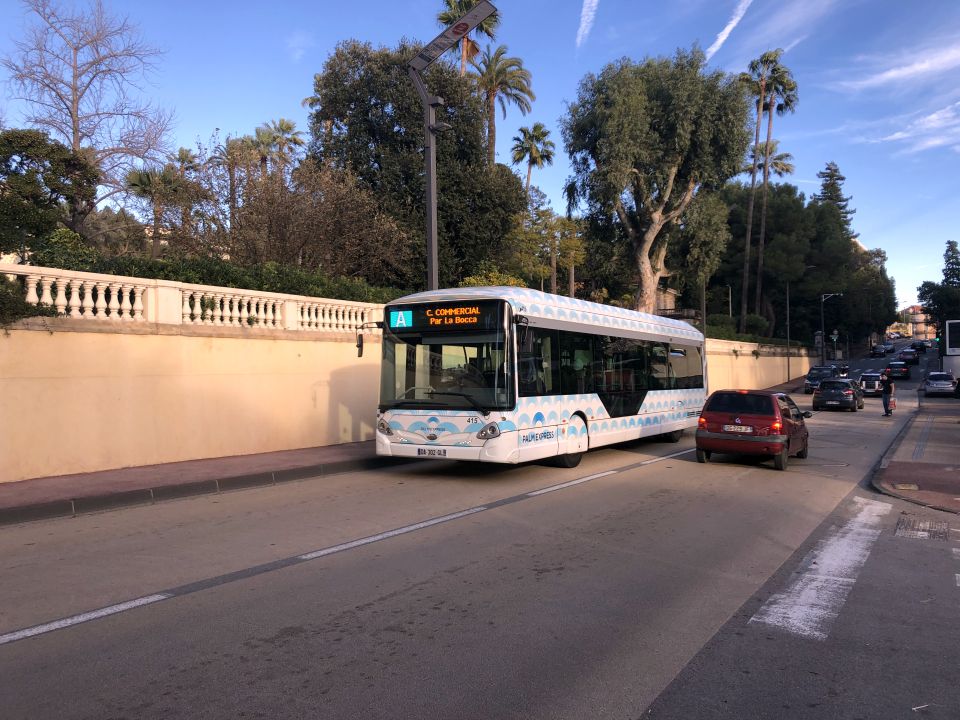 Palm Bus 415