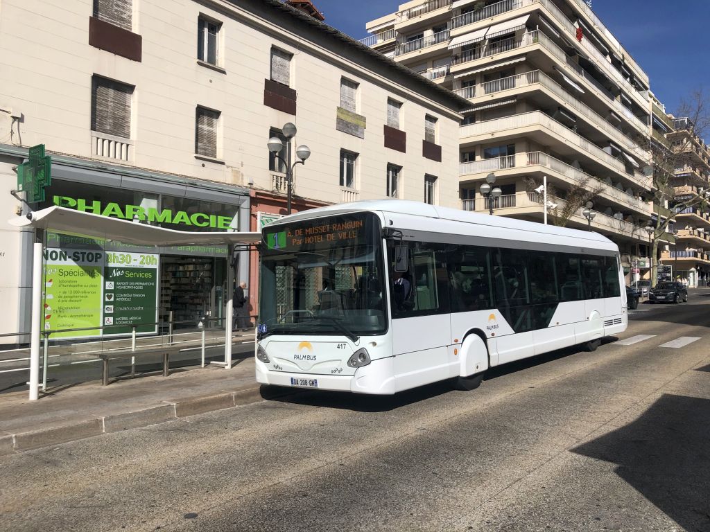 Palm Bus 417