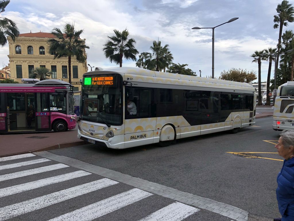 Palm Bus 421