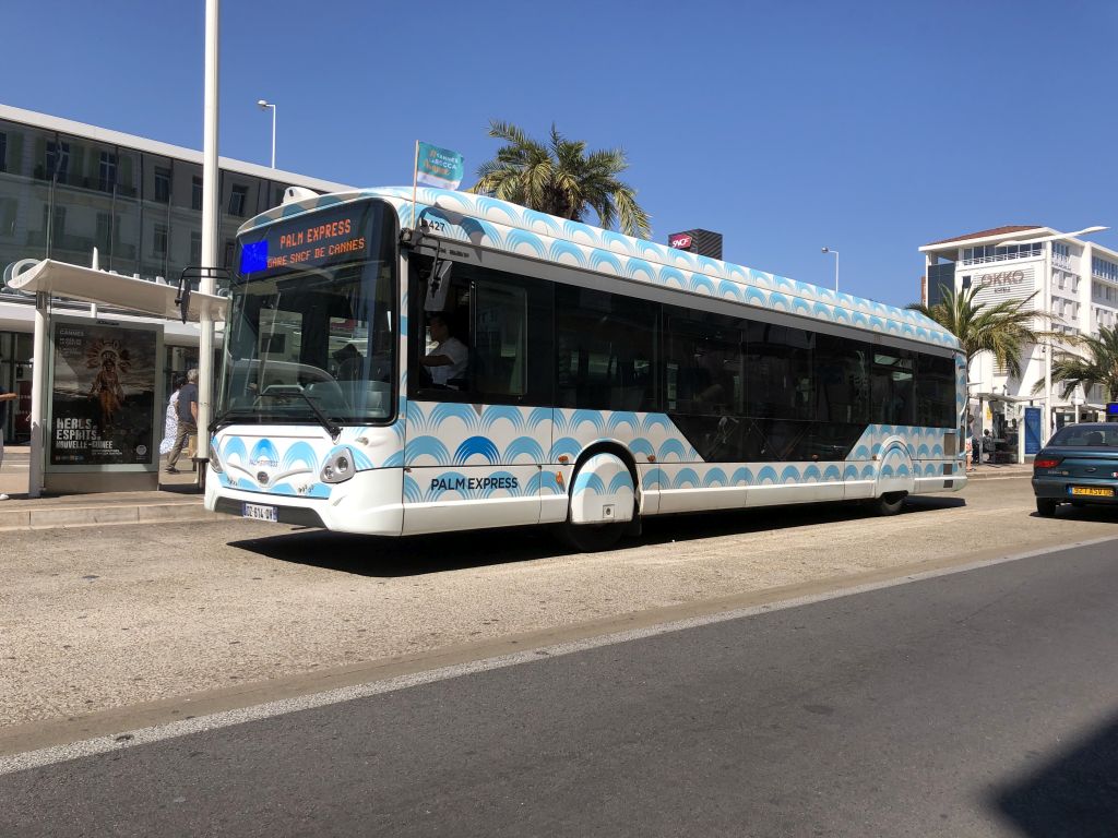 Palm Bus 427