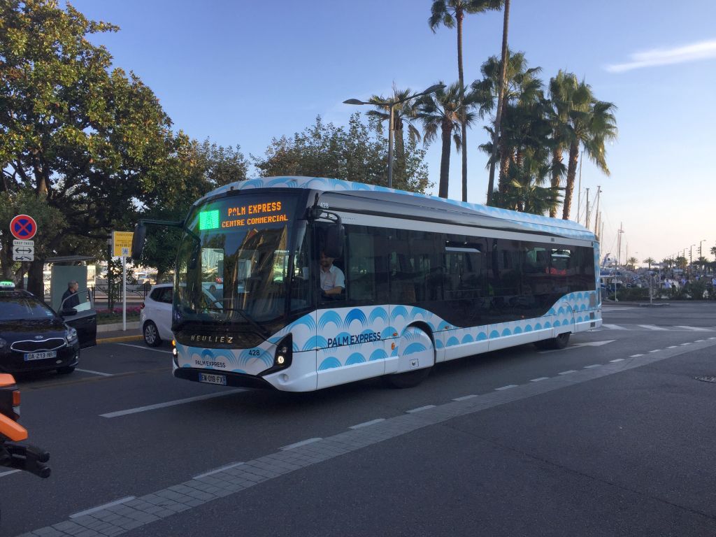 Palm Bus 428