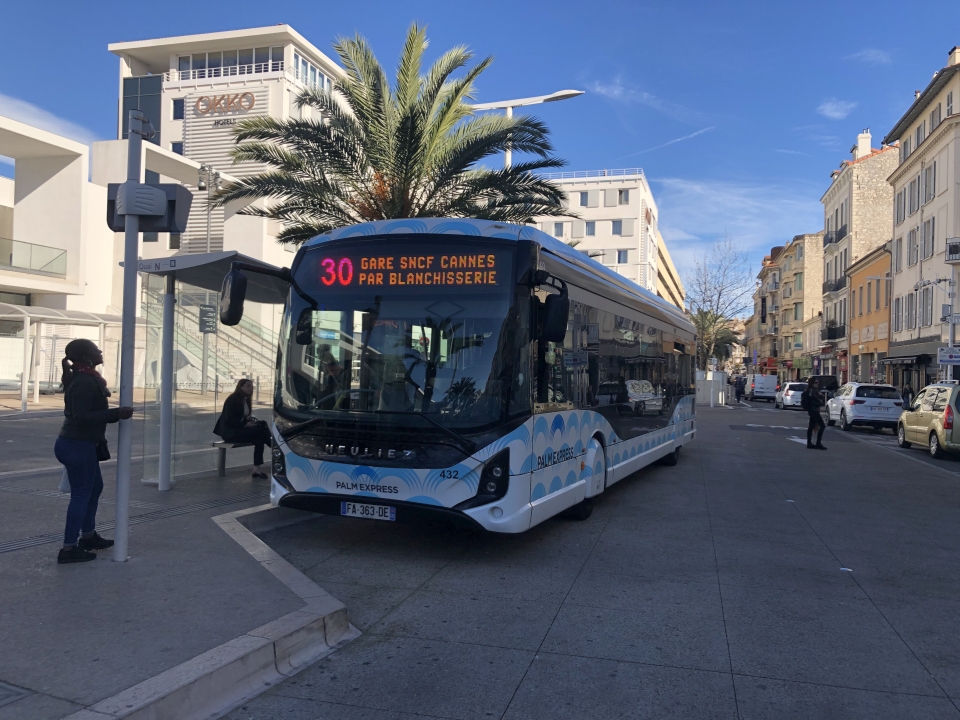 Palm Bus 432