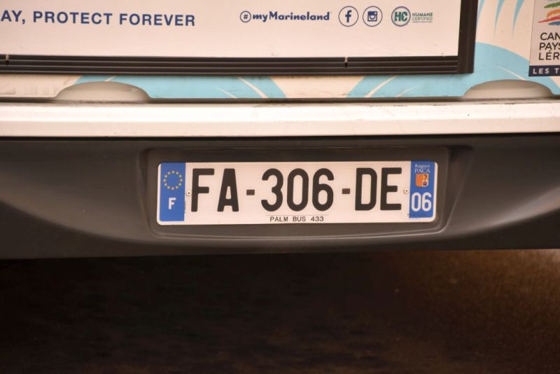 Plaque Palm Bus 433
