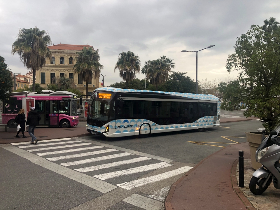 Palm Bus 433