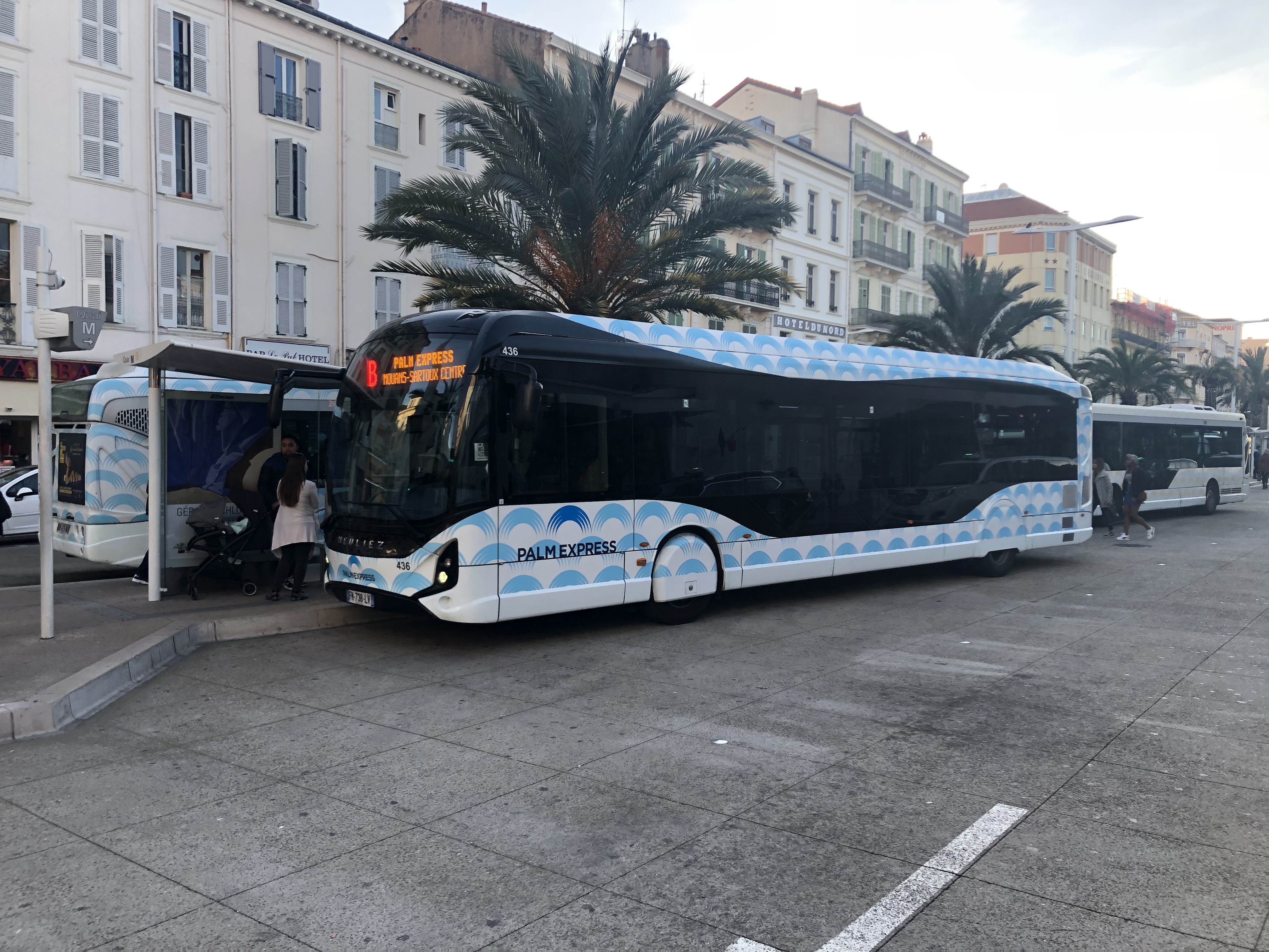 Palm Bus 436