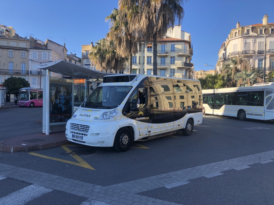 Palm Bus 550
