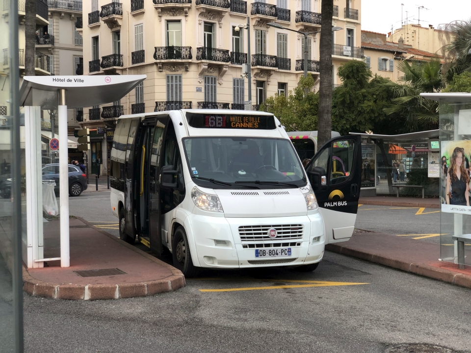 Palm Bus 551