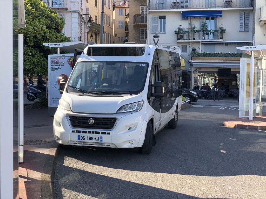 Palm Bus 556