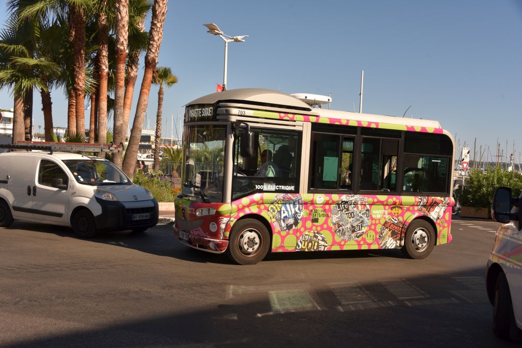 Palm Bus 703