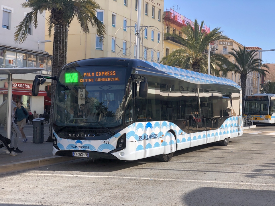 Palm Bus 439