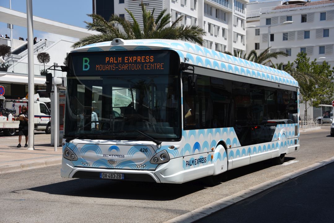 Palm Bus 426